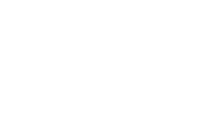 Leapo
